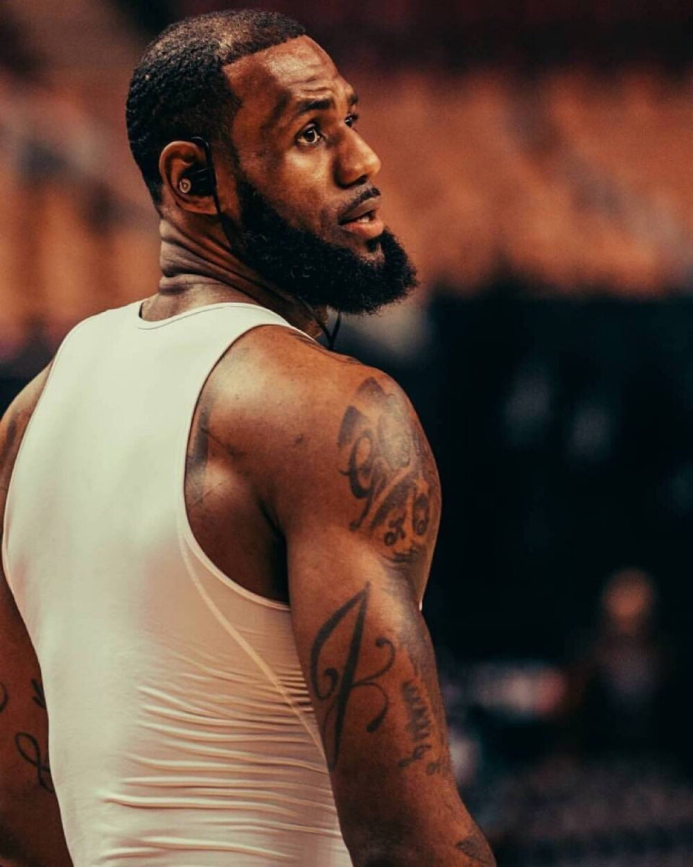 player-feedback-distribution